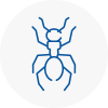 Ant Removals In Lymington
