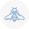 Bee Nest Removal Lymington