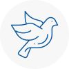 Bird Prevention Lymington