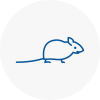 Mice Exterminators In Lymington