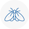 Moth Control Specialists In Lymington