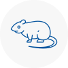Rat Control Lymington