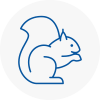 Lymington Rodent Removals